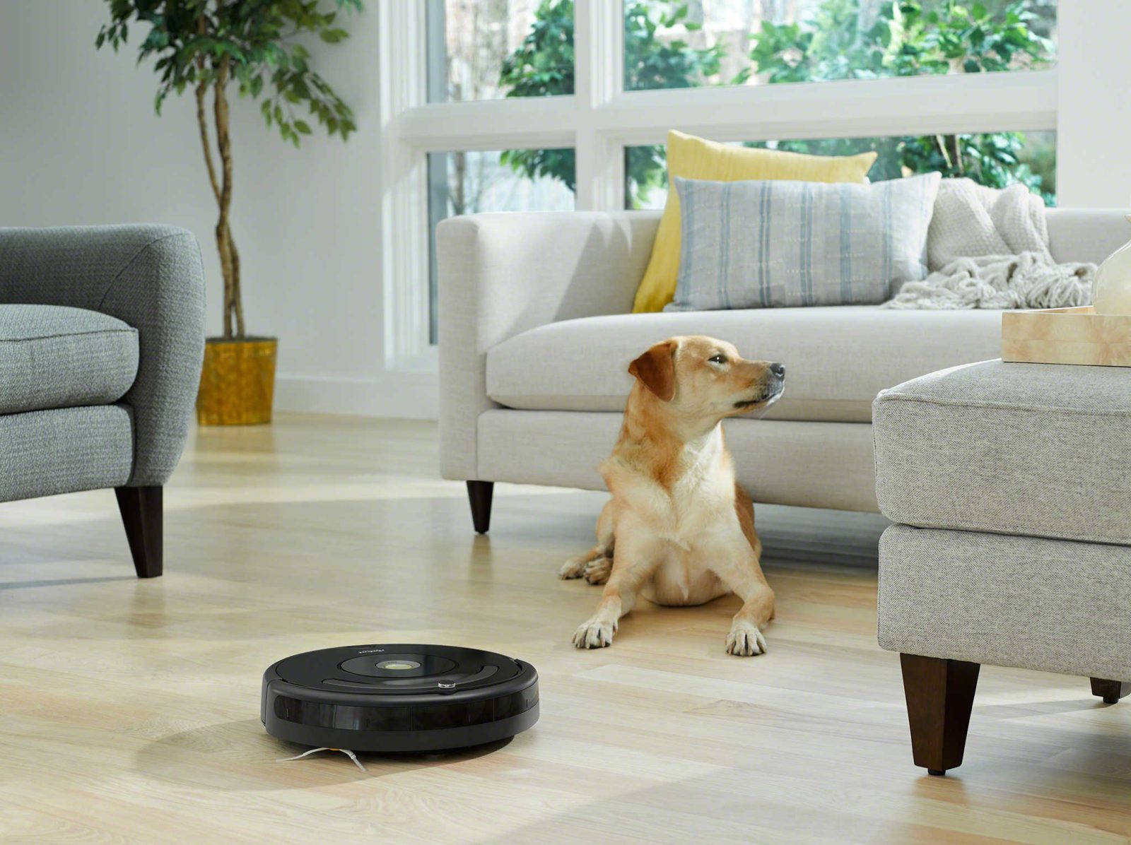 best-irobot-roomba-robot-vacuums-for-december-2024