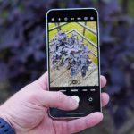 samsung-adds-a-camera-continuity-feature-with-one-ui-7