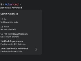 gemini-subscribers-can-now-use-‘2.0-experimental-advanced’-with-‘significantly-improved-performance’