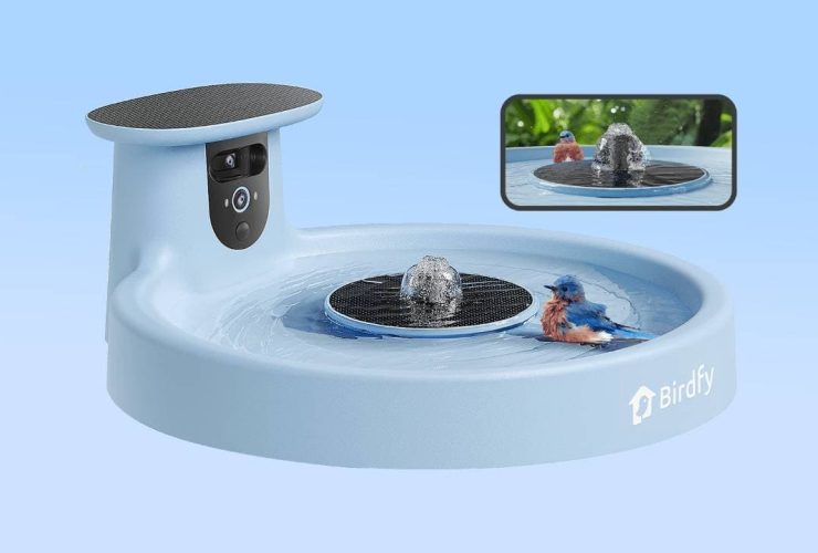 birdfy-just-made-a-smart-bird-bath-because-why-not!?