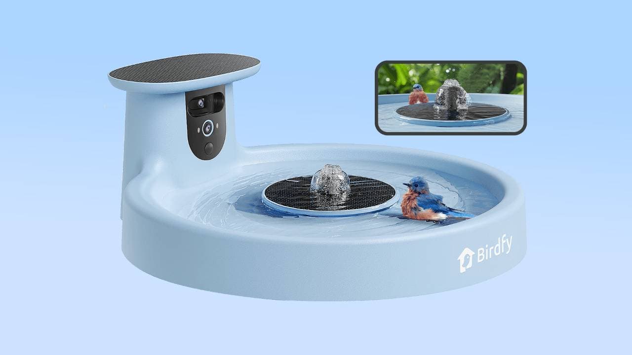 birdfy-just-made-a-smart-bird-bath-because-why-not!?