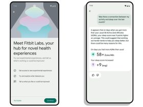 fitbit-labs-ends-‘insights-explorer’-testing