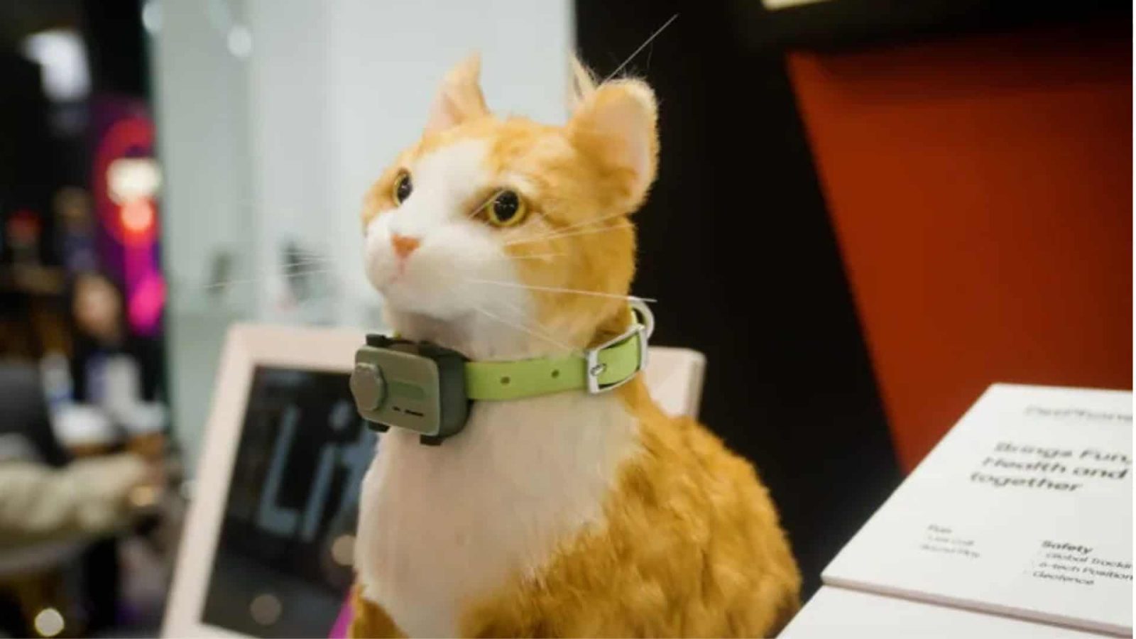 did-you-ever-want-a-smartphone-for-your-pet?-well,-here-it-is!