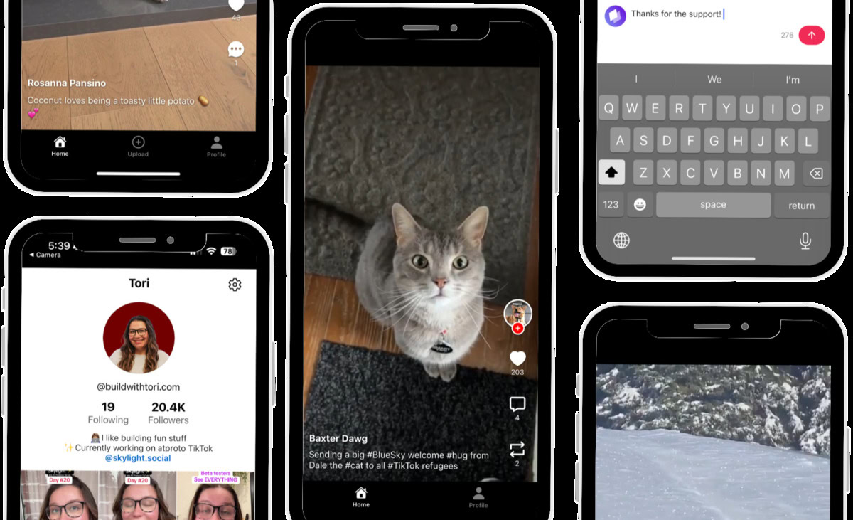 mark-cuban-backed-‘skylight’-is-a-decentralized-tiktok-alternative
