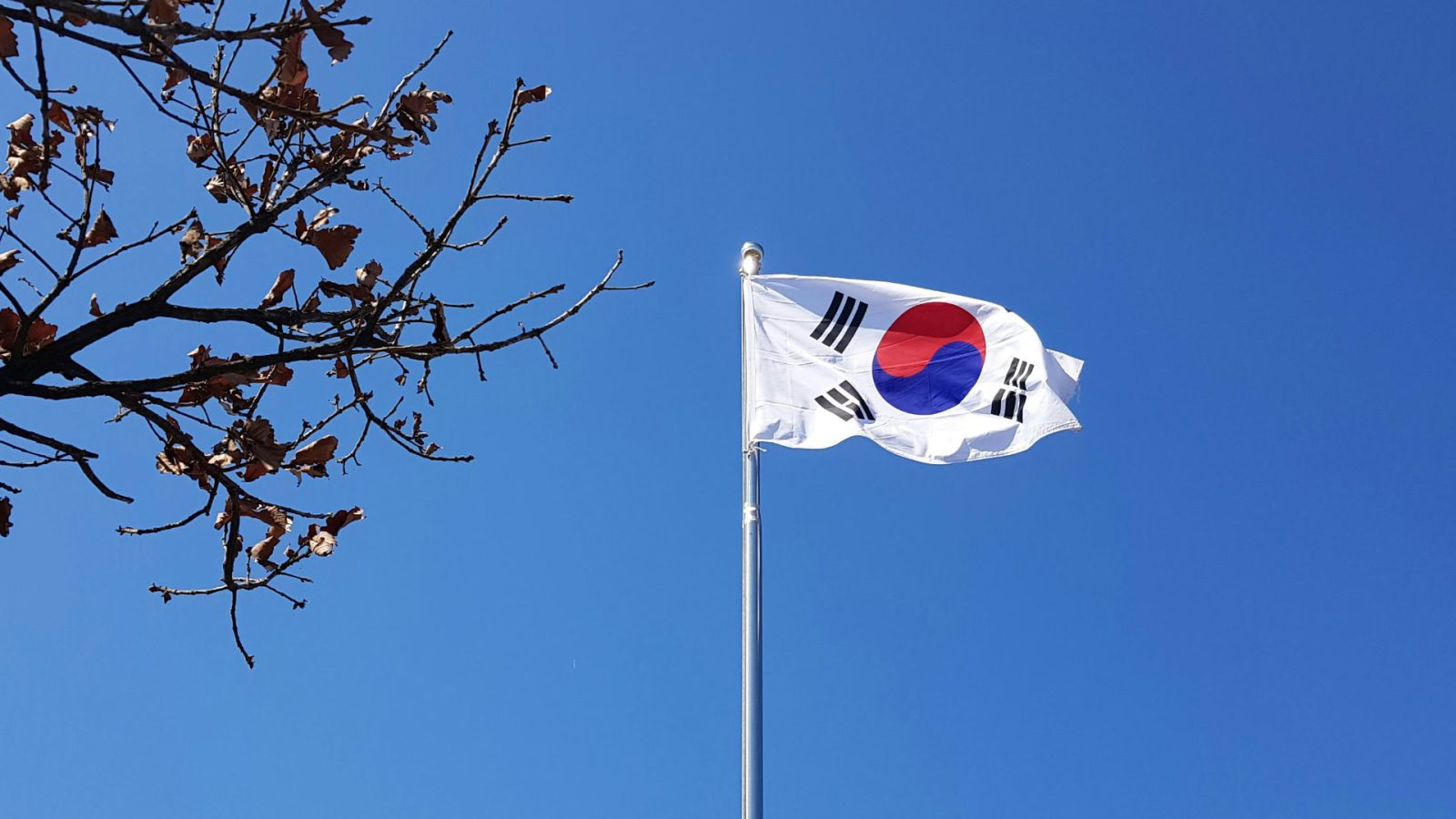 korea-is-throwing-more-money-at-its-domestic-chips