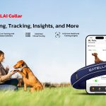satellai-launches-their-debut-product,-satellai-collar