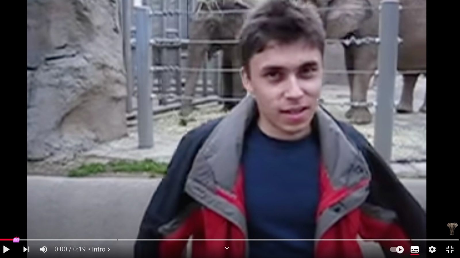 20-years-ago-today,-a-trip-to-the-zoo-started-the-wild-world-of-youtube!