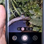 to-pinch-or-not:-survey-reveals-how-people-use-camera-zoom