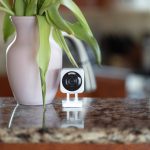secure-your-home-with-the-wyze-cam-v4-while-it’s-just-$24-at-amazon