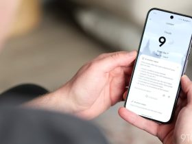 google-rolls-out-pixel-weather-pollen-tracker-in-the-us