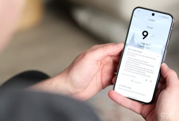 google-rolls-out-pixel-weather-pollen-tracker-in-the-us