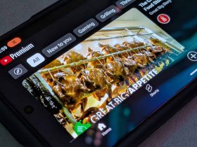 premium-for-two?-youtube’s-new-plan-could-save-you-money