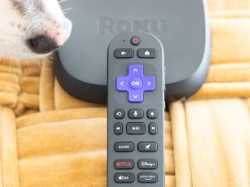 stream-in-4k-for-less-while-the-best-roku-device-is-20%-off