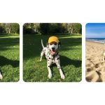 gemini-app-image-editing-is-more-widely-rolling-out