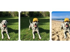 gemini-app-image-editing-is-more-widely-rolling-out