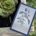 all-nook-tablets-and-e-readers-are-currently-on-sale-for-$20-off