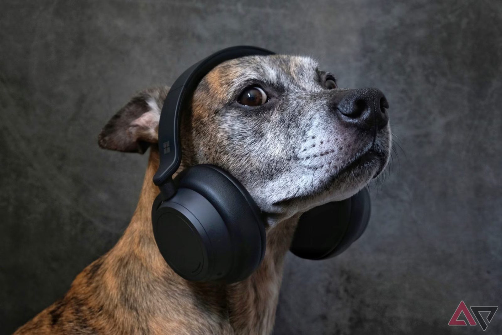 amazon-now-ships-fido’s-prescription-flea-meds-straight-to-your-door