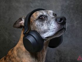 amazon-now-ships-fido’s-prescription-flea-meds-straight-to-your-door