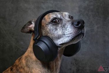 amazon-now-ships-fido’s-prescription-flea-meds-straight-to-your-door