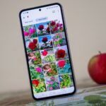 7-alternatives-to-google-photos-that-let-you-backup-your-photos-safely