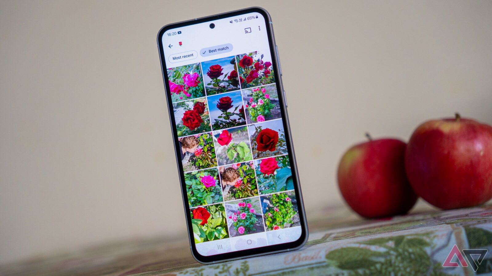 7-alternatives-to-google-photos-that-let-you-backup-your-photos-safely