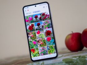 7-alternatives-to-google-photos-that-let-you-backup-your-photos-safely