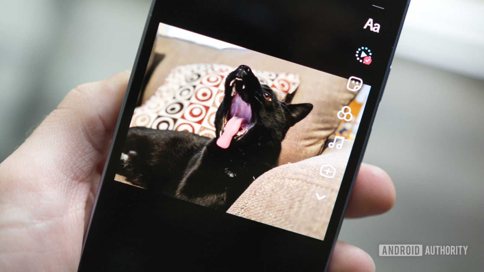 i-used-tiktok’s-new-ai-photo-tool-and-now-my-cat-has-two-heads.-send-help