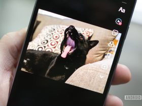 i-used-tiktok’s-new-ai-photo-tool-and-now-my-cat-has-two-heads.-send-help