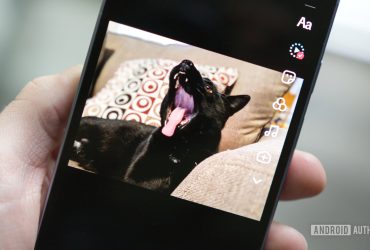 i-used-tiktok’s-new-ai-photo-tool-and-now-my-cat-has-two-heads.-send-help