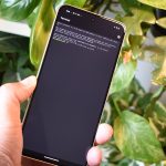 i-activated-the-linux-terminal-on-my-pixel,-and-you-should-too