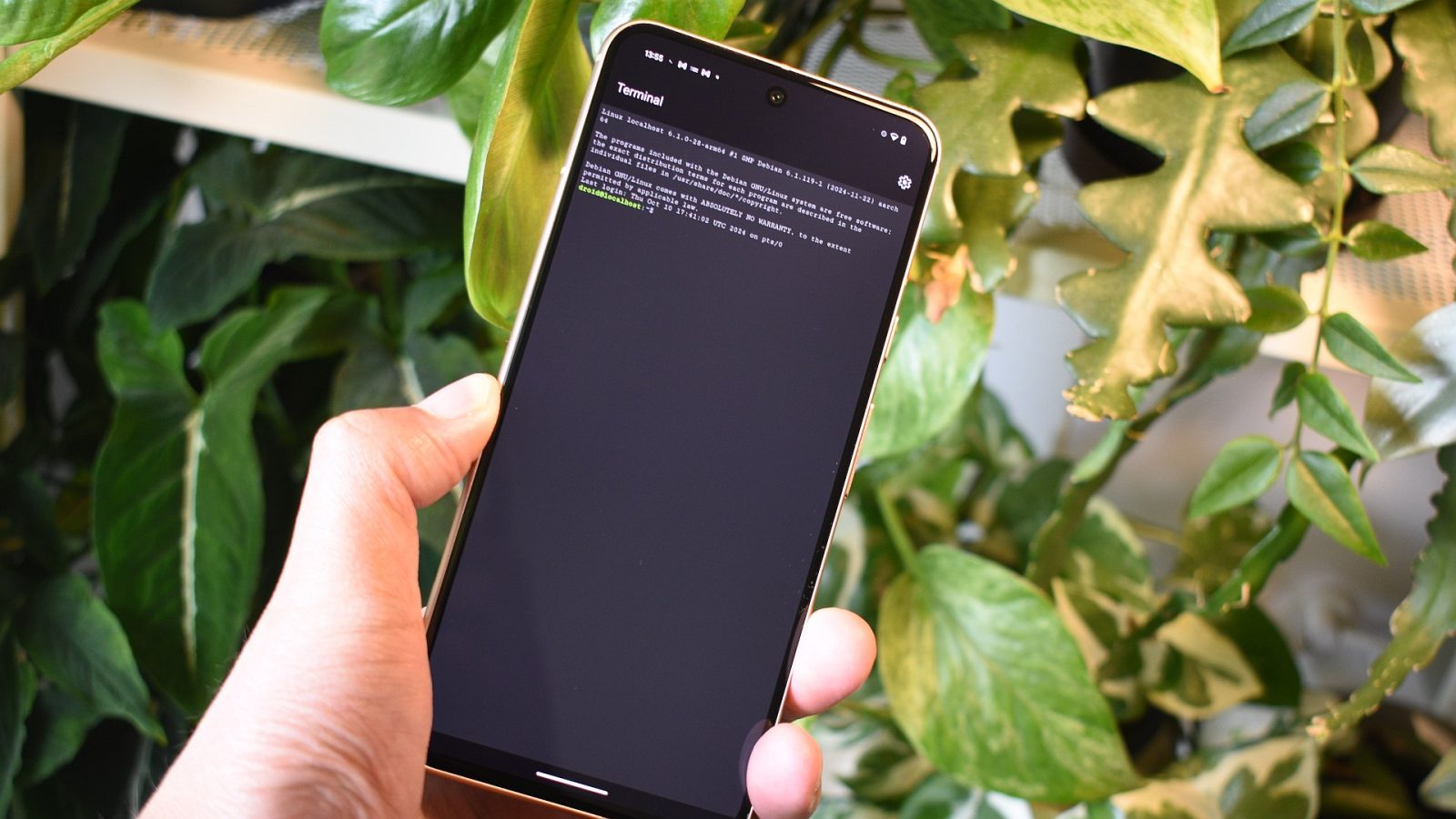 i-activated-the-linux-terminal-on-my-pixel,-and-you-should-too