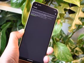i-activated-the-linux-terminal-on-my-pixel,-and-you-should-too