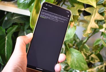 i-activated-the-linux-terminal-on-my-pixel,-and-you-should-too