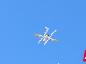 i-got-a-pie-from-a-google-drone-and-it-was-delicious
