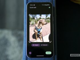 google-photos-celebrates-turning-10-with-a-new-and-improved-editor-and-easier-album-sharing