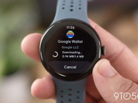google-wallet-fixes-repeated-pin-issue-on-wear-os