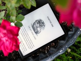 the-boox-go-7-e-reader-flys-a-little-too-close-to-the-sun