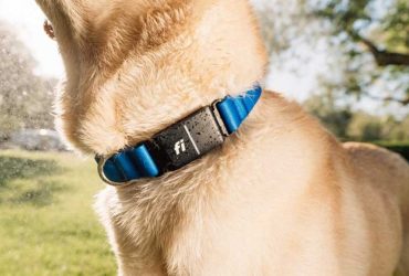 fi’s-series-3+-smart-dog-collar-gets-an-upgrade-with-ai-behavior-detection