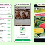 whatsapp-is-getting-ads-–-here’s-where-you’ll-see-them
