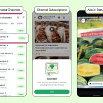 brace-yourself:-whatsapp-is-finally-getting-ads