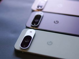 google-pixel-12-codenames-just-escaped-the-zoo