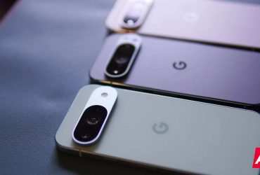 google-pixel-12-codenames-just-escaped-the-zoo