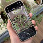 indigo-is-a-new-camera-app-by-the-guys-who-made-the-pixel-and-google-camera-apps